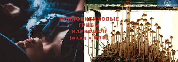 jwh Арсеньев