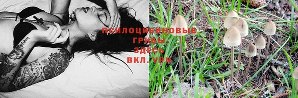 jwh Арсеньев