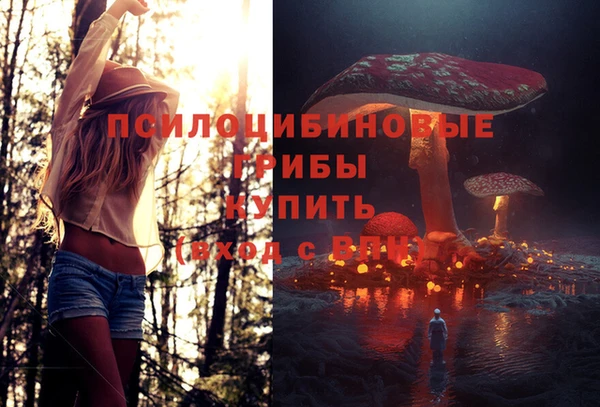 jwh Арсеньев