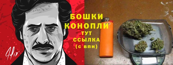 каннабис Аркадак