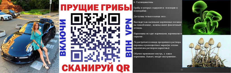 цена наркотик  Куса  Галлюциногенные грибы MAGIC MUSHROOMS 